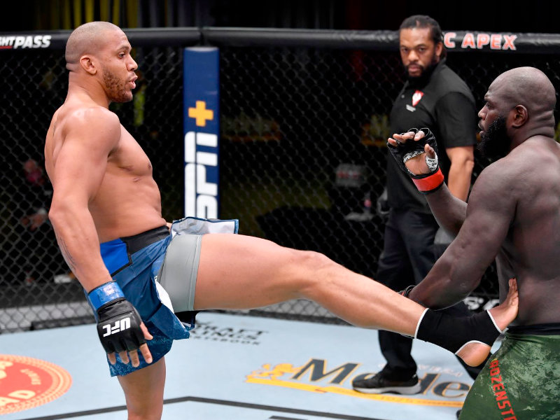 ufc fight night fighter