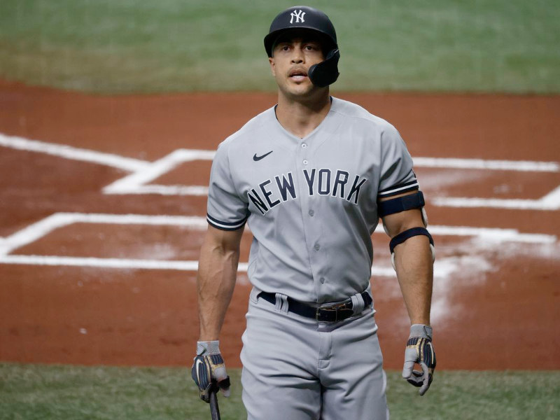 new york yankees odds