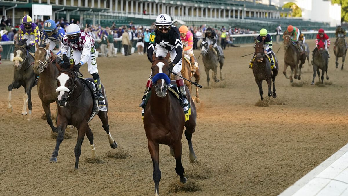 kentucky derby race odds