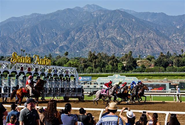 santa anita wagering