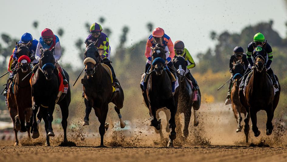 belmont stakes picks