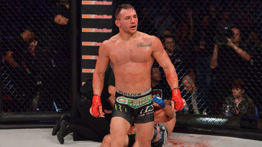 michael chandler betting odds