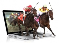 Betting on Horses Online