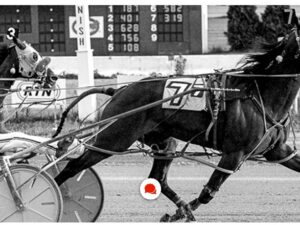 Nebraska legal sports betting delayed yet again.
