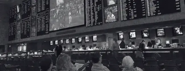 image-of-casino-and-sports-betting-hotel-in-florida
