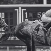 Horse-racing-interest-in-the-Gem-State