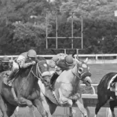 Haskell Journalism ready for triumphant return
