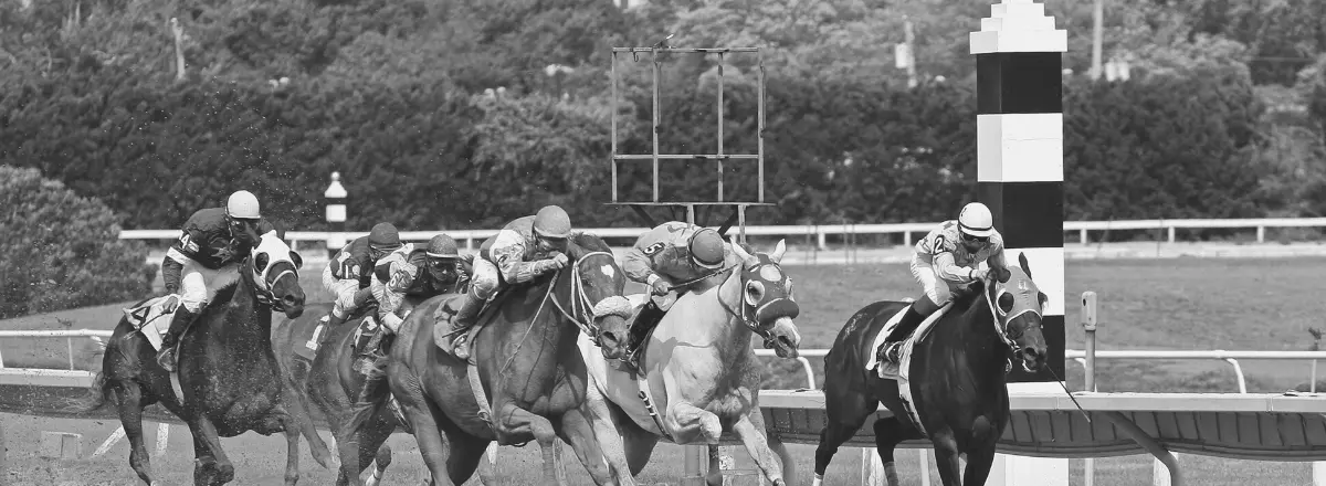 Haskell Journalism ready for triumphant return
