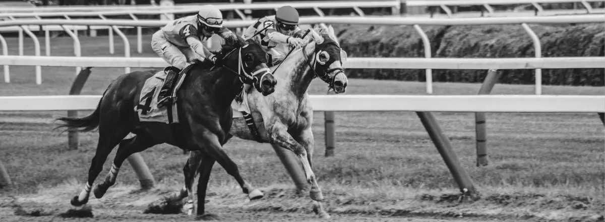 Travers Stakes Sovereignty can stay atop division