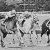 Gosger can work right trip in Pennsylvania Derby