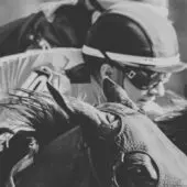 Natalma Stakes Dixie Law price play in competitive turf race