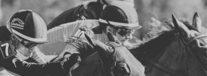 Natalma Stakes Dixie Law price play in competitive turf race