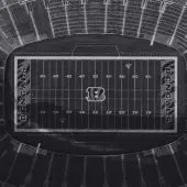 Following the addition of fees on wager transactions, the Illinois sports betting market is experiencing a significant downtick in volume.