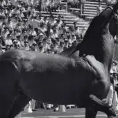 One analyst believes that cracks in the Kentucky sports betting legalization are already starting to show after just a couple of years.