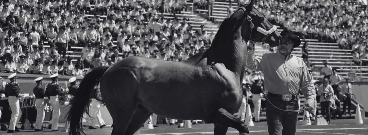 One analyst believes that cracks in the Kentucky sports betting legalization are already starting to show after just a couple of years.