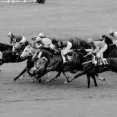 Arima Kinen Museum Mile ready for masterpiece