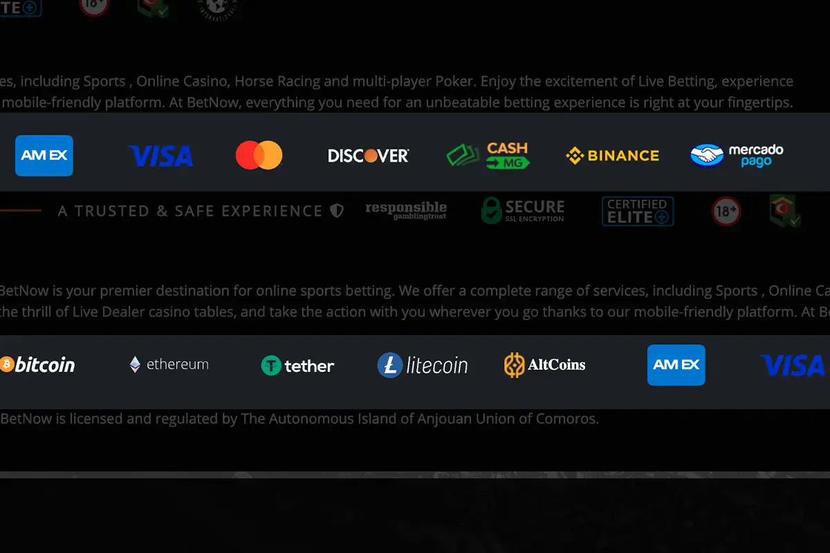 BetNow-deposit-options-available