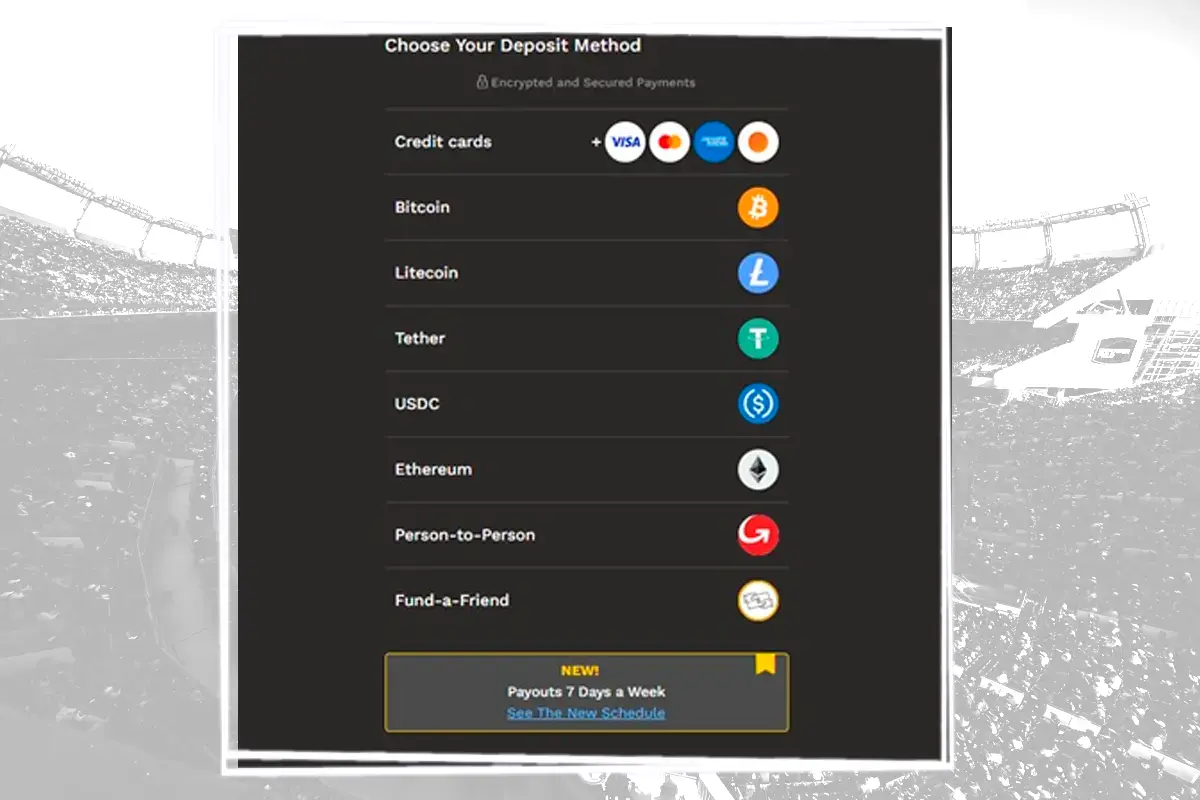 Bookmaker-deposit-options-available