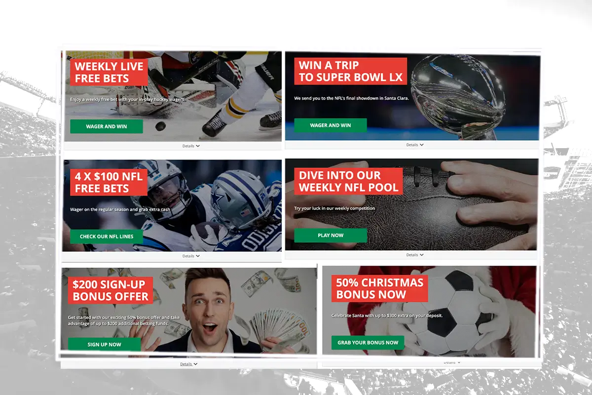 Everygame-promotions-page-showcasing-bonuses-referral-rewards-and-featured-offers_