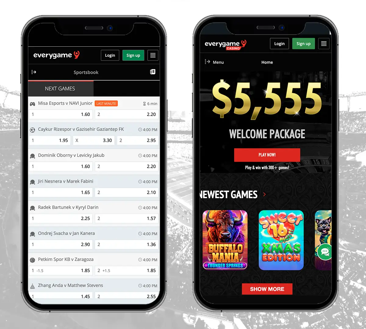 Everygame-sports-betting-and-odds-interface