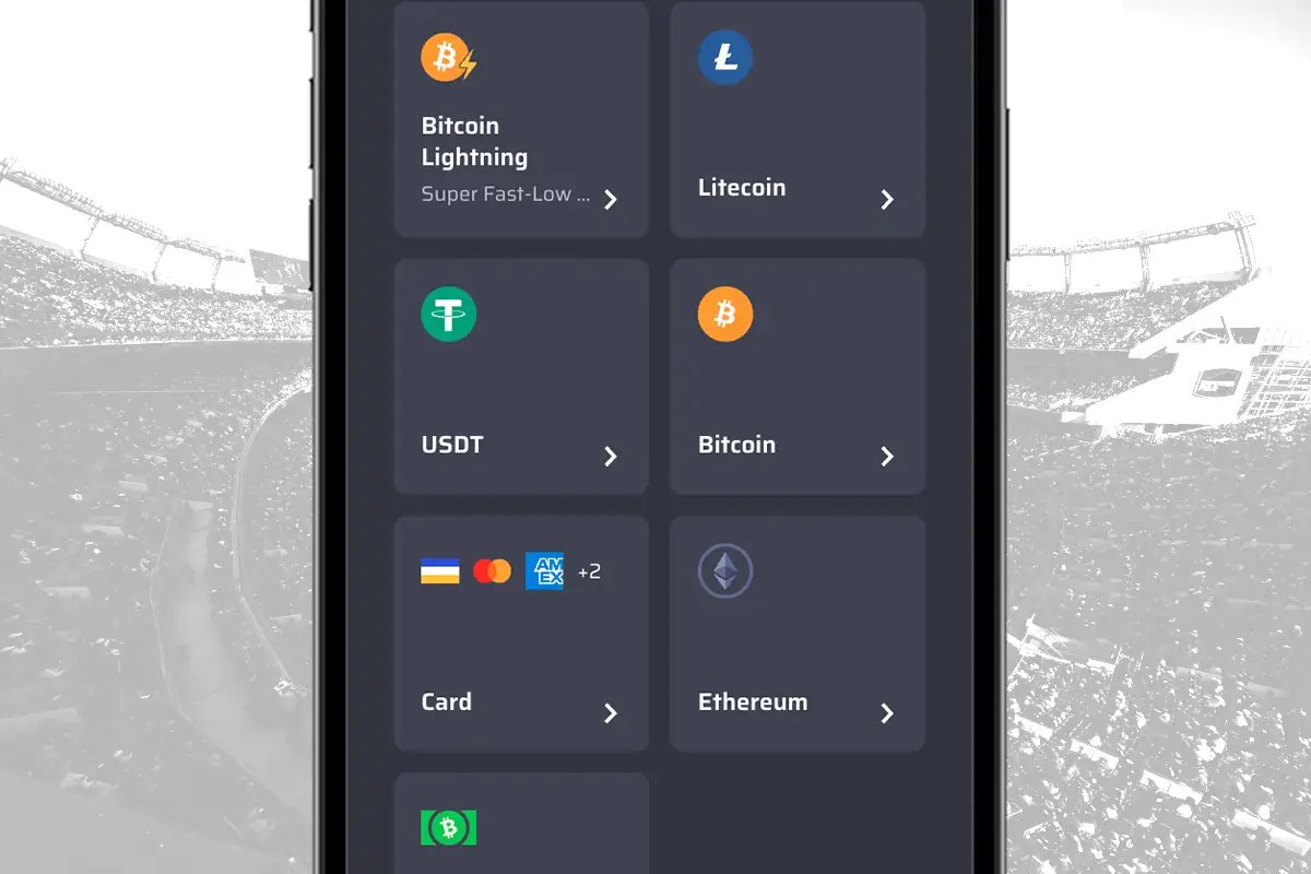 Lucky Rebel deposit options page