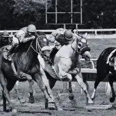 Pegasus World Cup all roads lead through Tappan Street