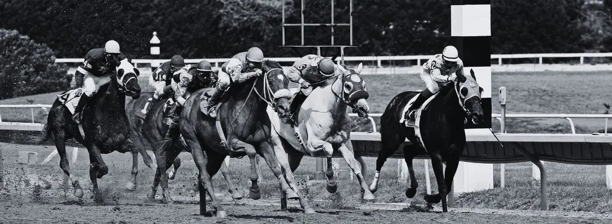Pegasus World Cup all roads lead through Tappan Street