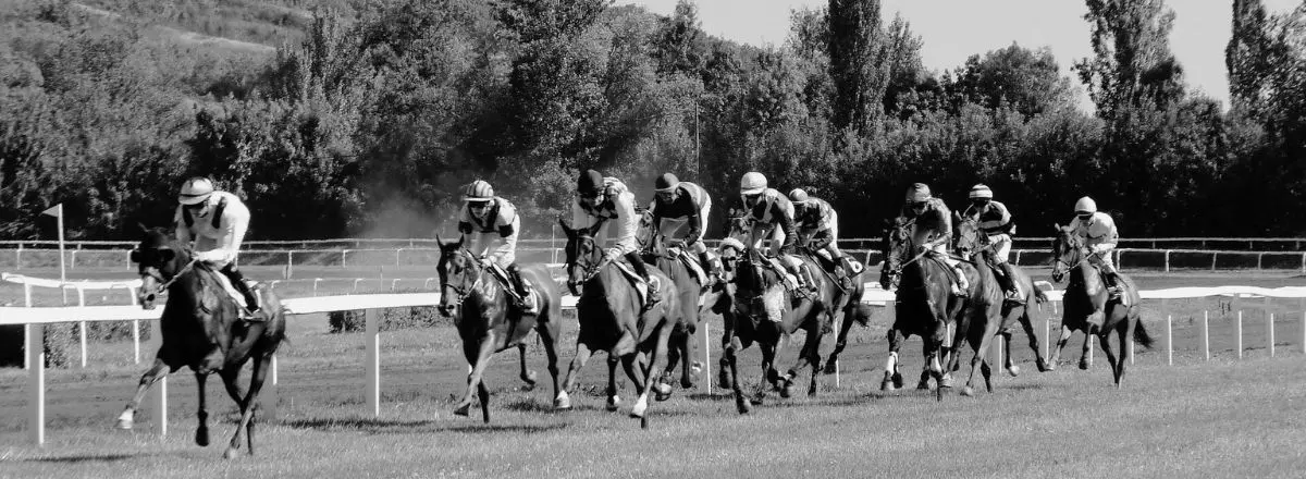 Cheltenham Gold Cup Haiti Couleurs well suited to distance