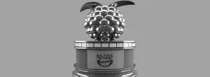 Golden Raspberry Awards