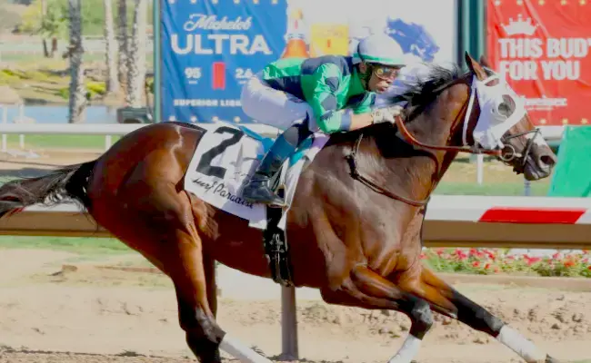 Arizona-Horse-Race-Betting