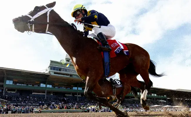 Horse-Race-in-California-Santa-Anita-championship-image