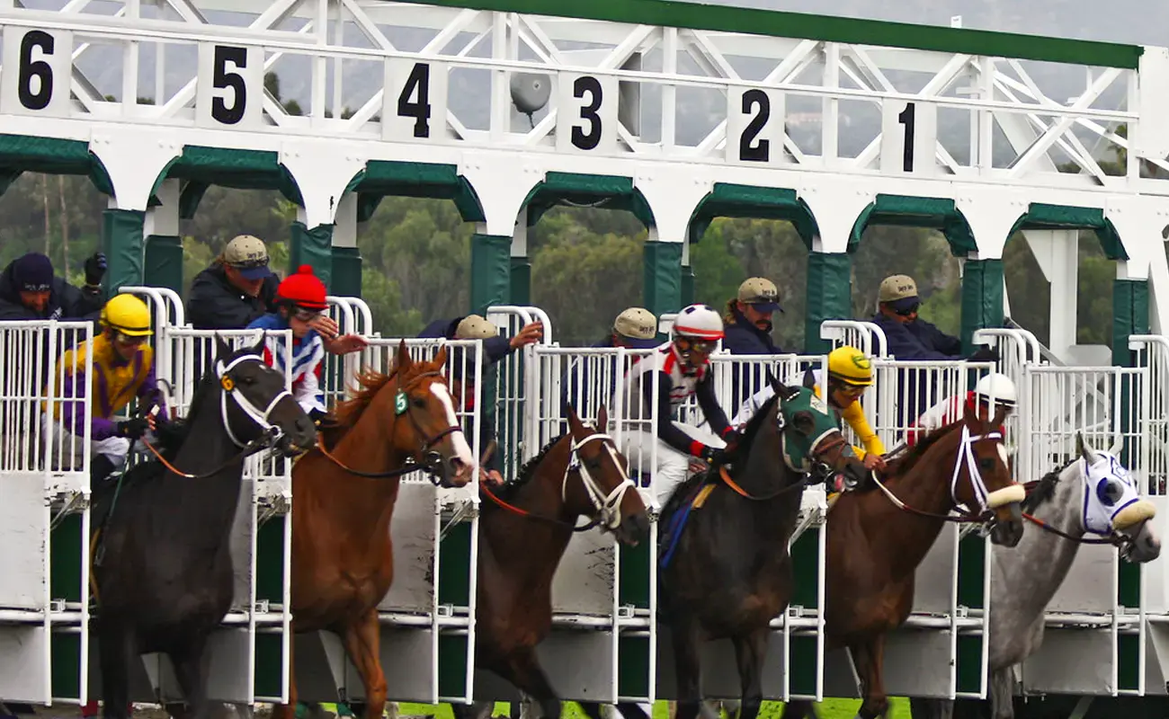 Horse-Racing-countdown_