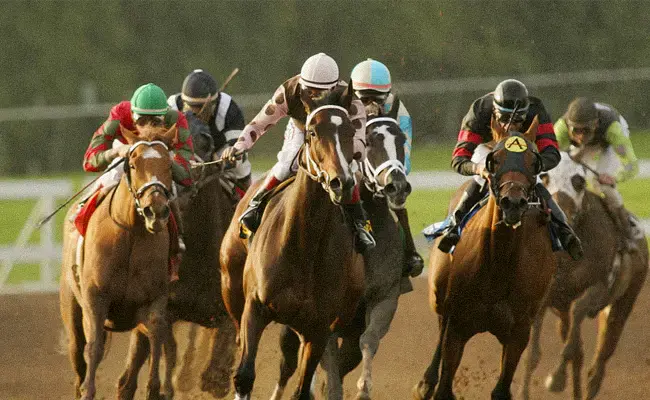 Image-of-a-horse-racing-in-action-in-California-Off-Track-Location