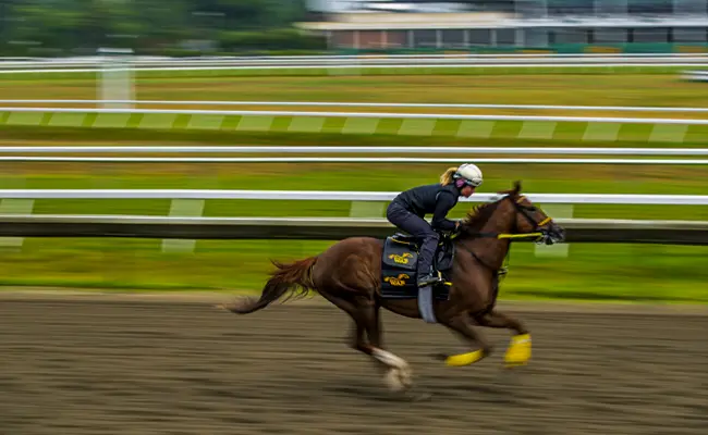 New-Jersey-Off-Track-Horse-Racing-image