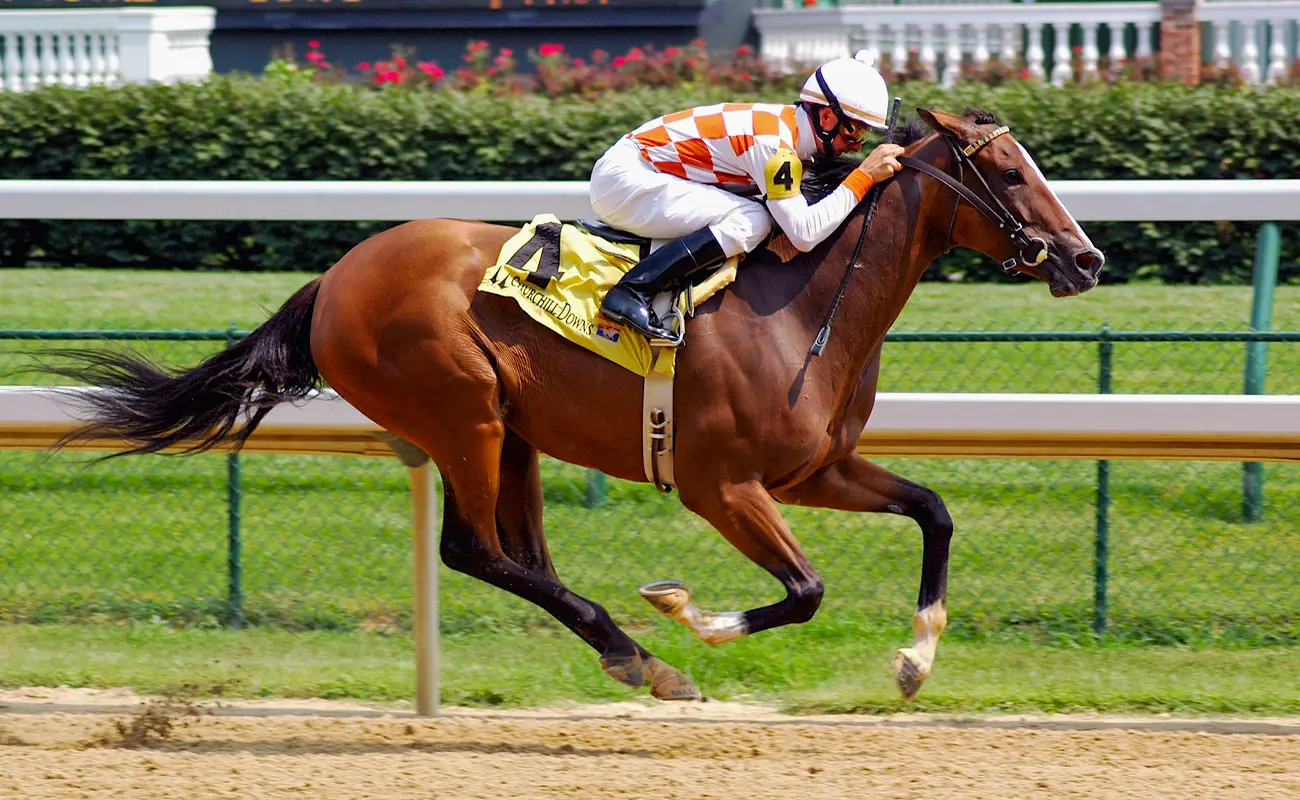 Off-track-Betting-near-me