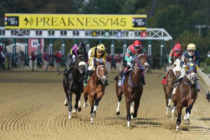 preakness stakes race picks