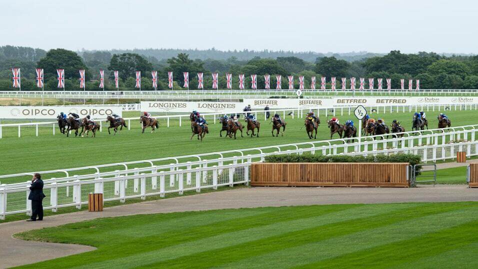 royal ascot betting sites