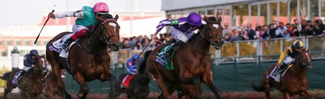 2019 Breeders Cup: Important Entries, Betting Odds and Picks